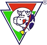 Партнер